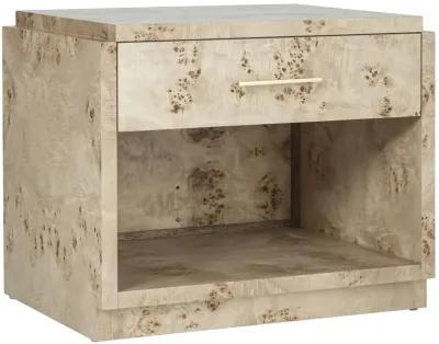 Jackson Burl Nightstand - Tulsi Home