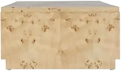 Jackson Burl Coffee Table - Tulsi Home - Brown