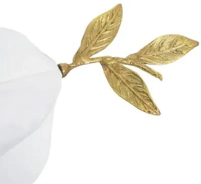 Starfruit Metal Object - White/Brass - Regina Andrew