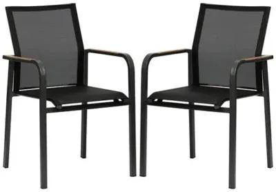 Set of 2 Avalon Indoor/Outdoor Armchairs - Black