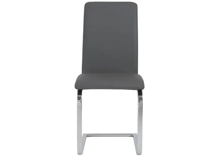 Set of 2 Sereno Side Chairs - Gray