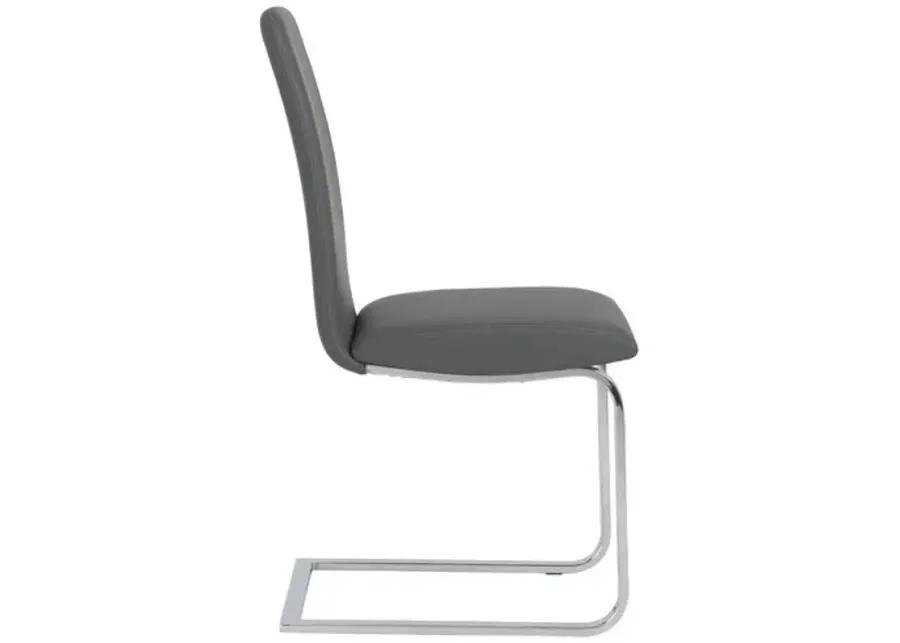 Set of 2 Sereno Side Chairs - Gray