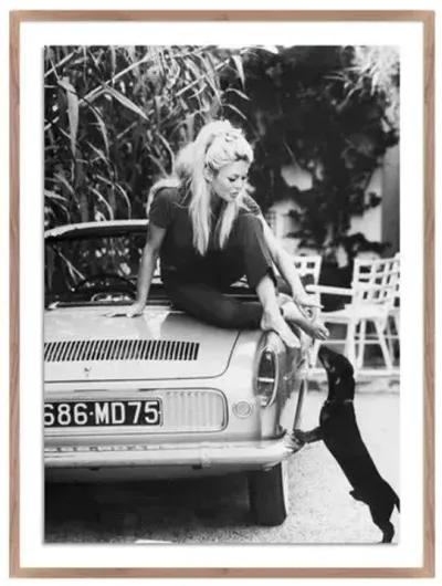 Getty Images - Brigitte Bardot With Dashchund - Brown