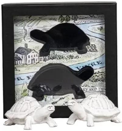 Clever Creatures Turtle Salt and Pepper Set - Juliska - White