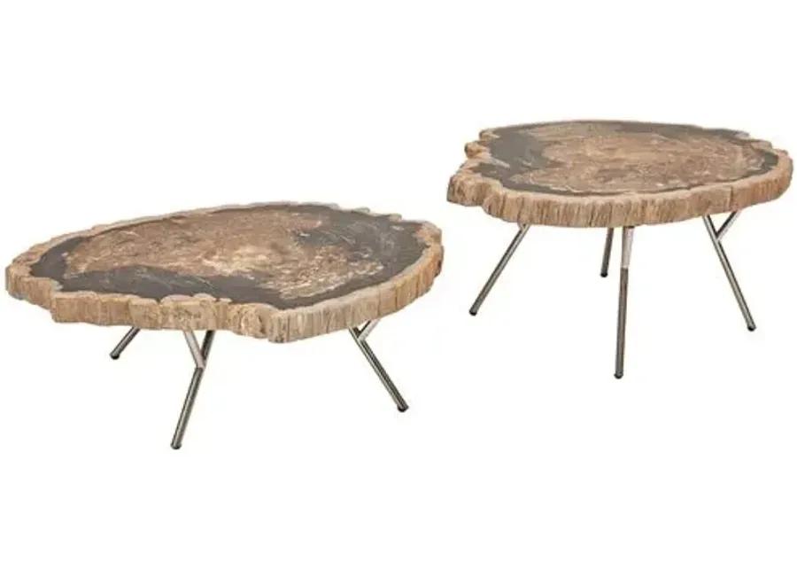 Set of 2 Larza Petrified Wood Coffee Tables - Brown