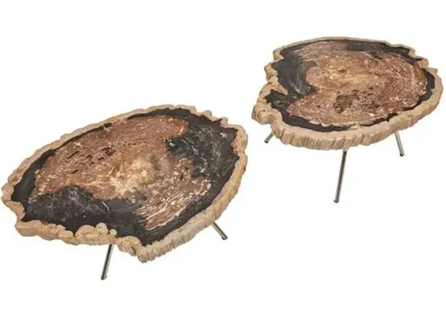 Set of 2 Larza Petrified Wood Coffee Tables - Brown