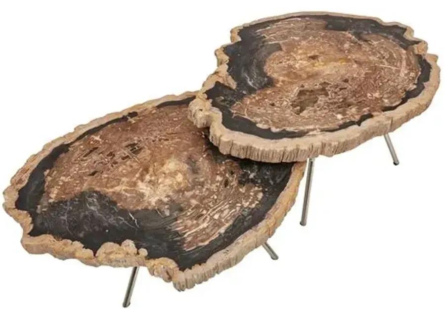 Set of 2 Larza Petrified Wood Coffee Tables - Brown