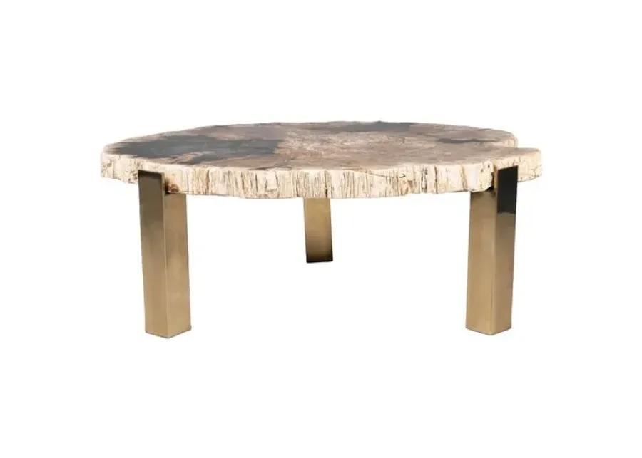 Larza Petrified Wood Coffee Table - Brown