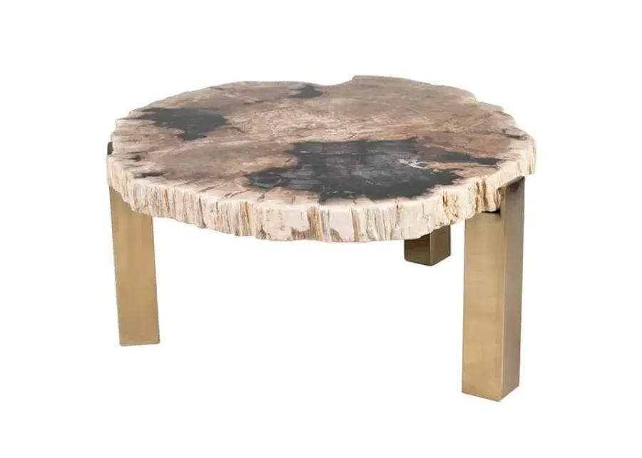 Larza Petrified Wood Coffee Table - Brown