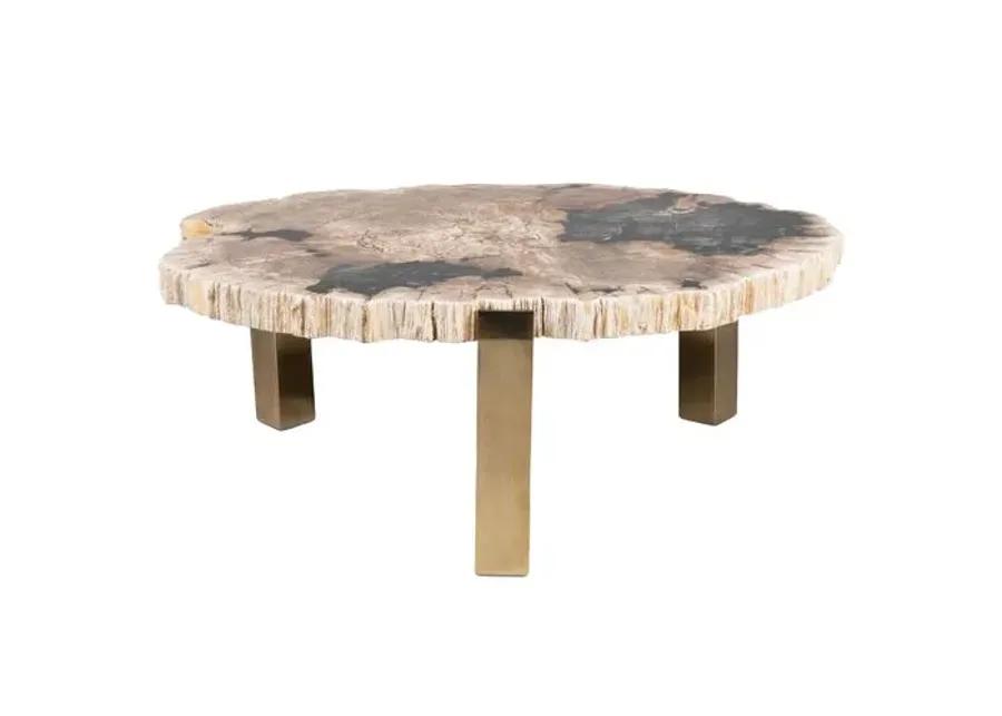 Larza Petrified Wood Coffee Table - Brown