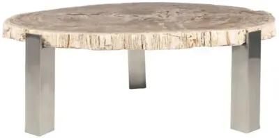 Larza Petrified Wood Coffee Table - Brown