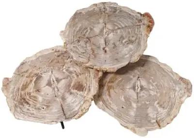 Set of 3 Larza Petrified Wood Nesting Coffee Tables - Brown