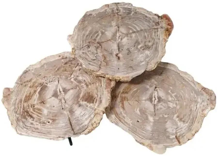 Set of 3 Larza Petrified Wood Nesting Coffee Tables - Brown