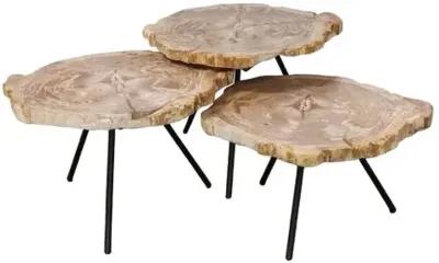 Set of 3 Larza Petrified Wood Nesting Coffee Tables - Brown