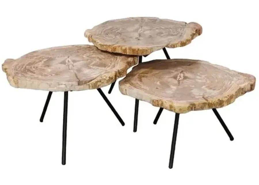 Set of 3 Larza Petrified Wood Nesting Coffee Tables - Brown