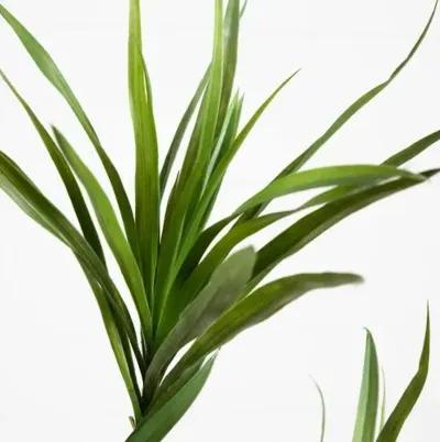 6ft. Artificial Dracaena Tree - Green