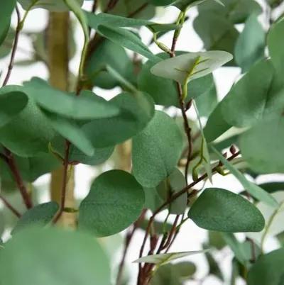 10ft. Artificial Eucalyptus Tree - Green