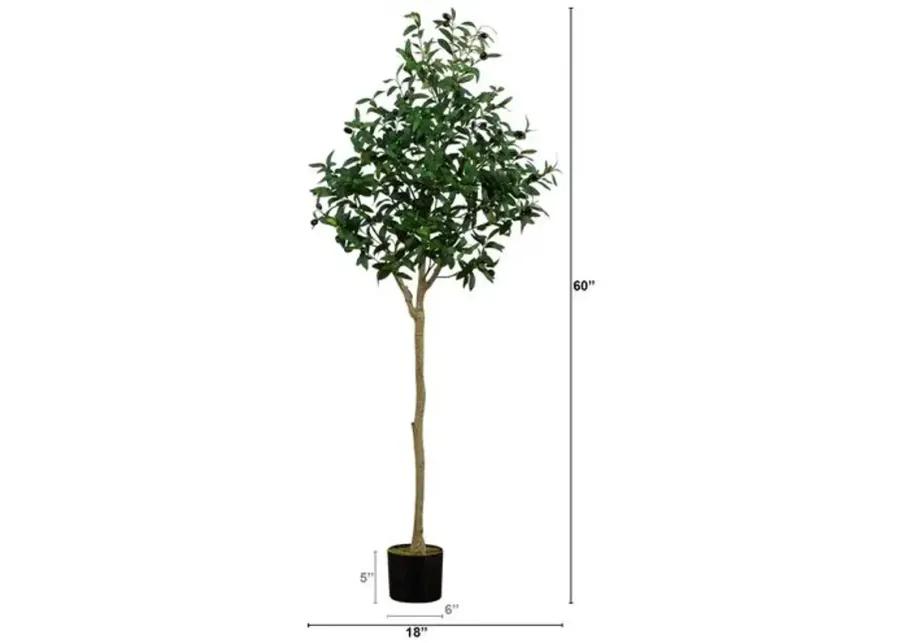 5ft. Artificial Olive Tree - Green