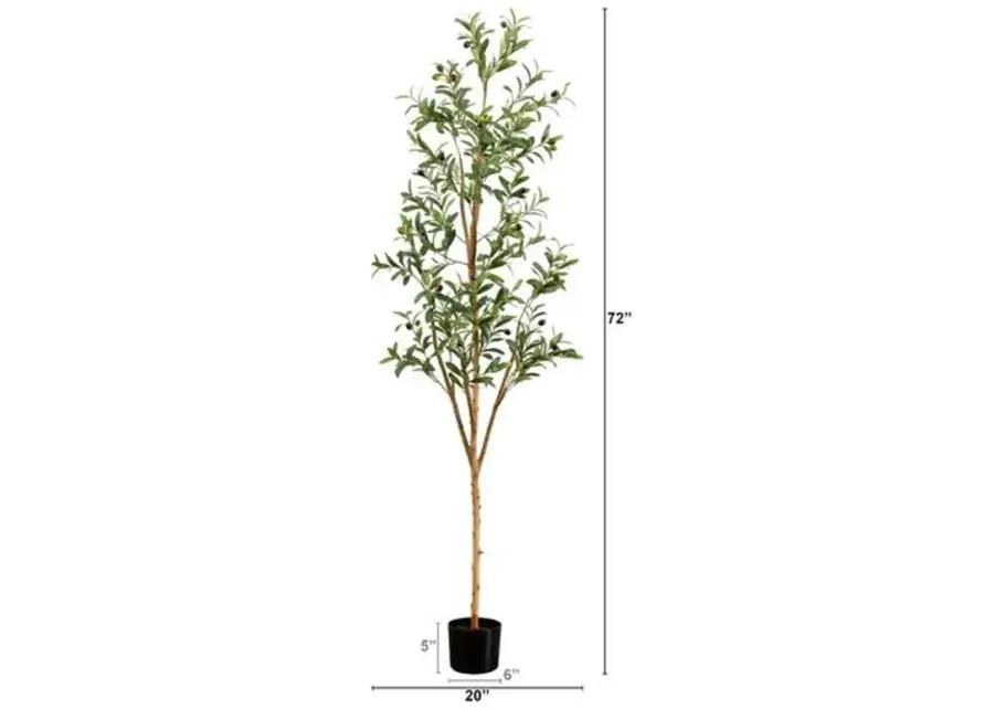 6ft. Artificial Olive Tree with Natural Trunk - Green