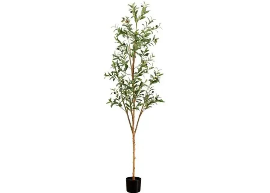 6ft. Artificial Olive Tree with Natural Trunk - Green