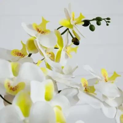 23in. Artificial Phalaenopsis Orchid Arrangement - White