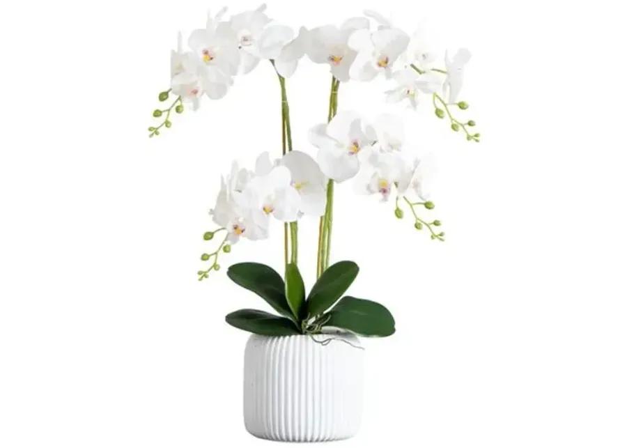 26in. Artificial Phalaenopsis Orchid Arrangement - Green