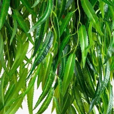 6ft. Willow Artificial Tree - Real Touch - Green