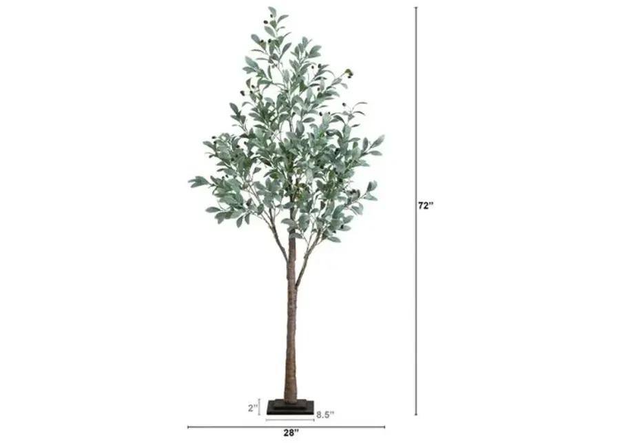 6ft. Lighted Artificial Fruiting Olive Tree - Green