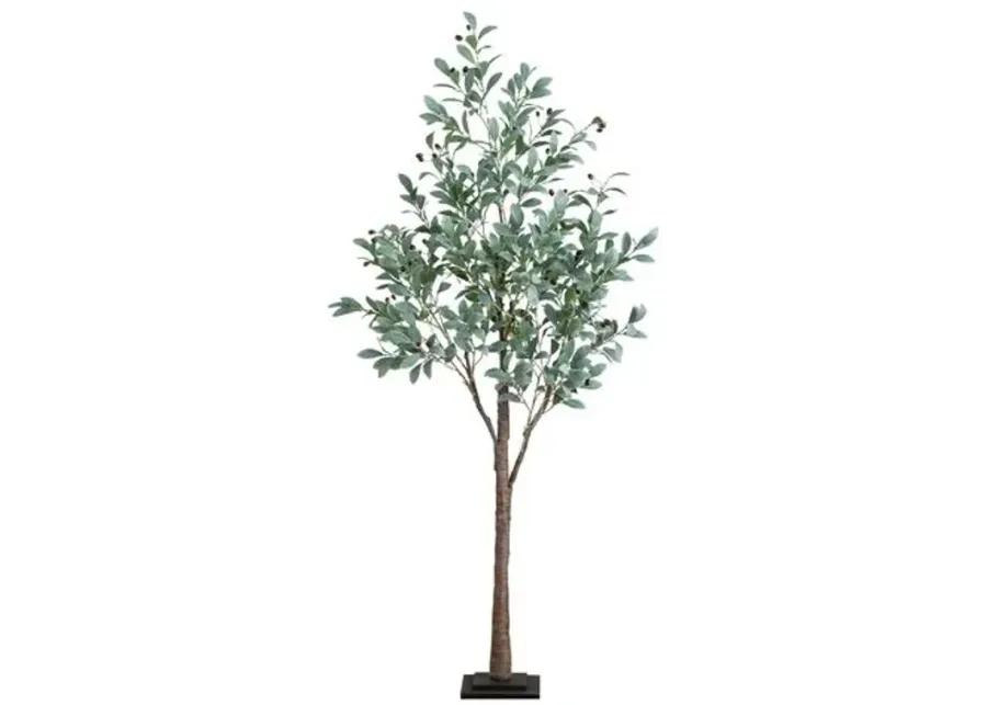 6ft. Lighted Artificial Fruiting Olive Tree - Green