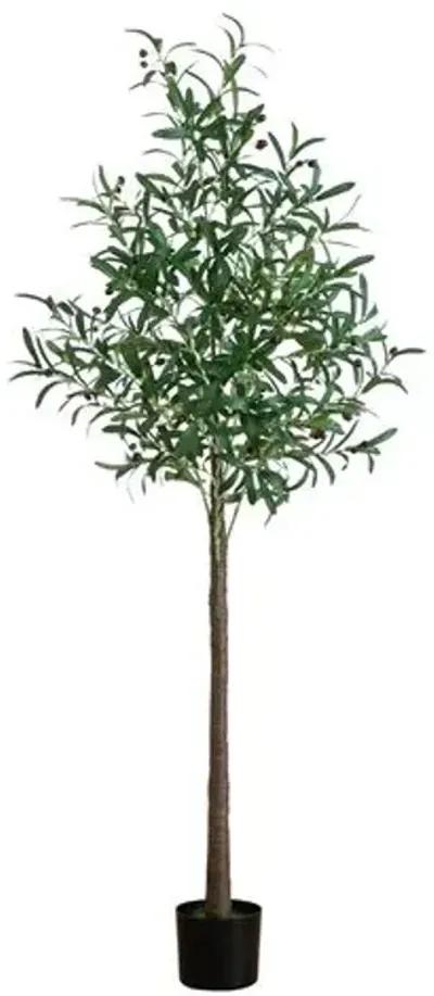 6ft. Lighted Artificial Olive Tree - Green