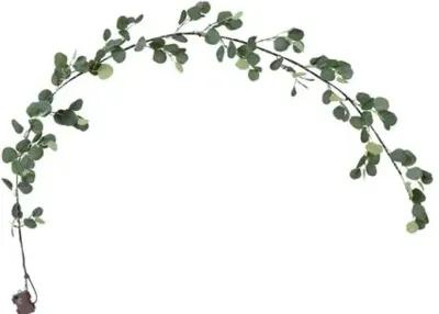 6.5ft. Lighted Artificial Eucalyptus Garland - Green