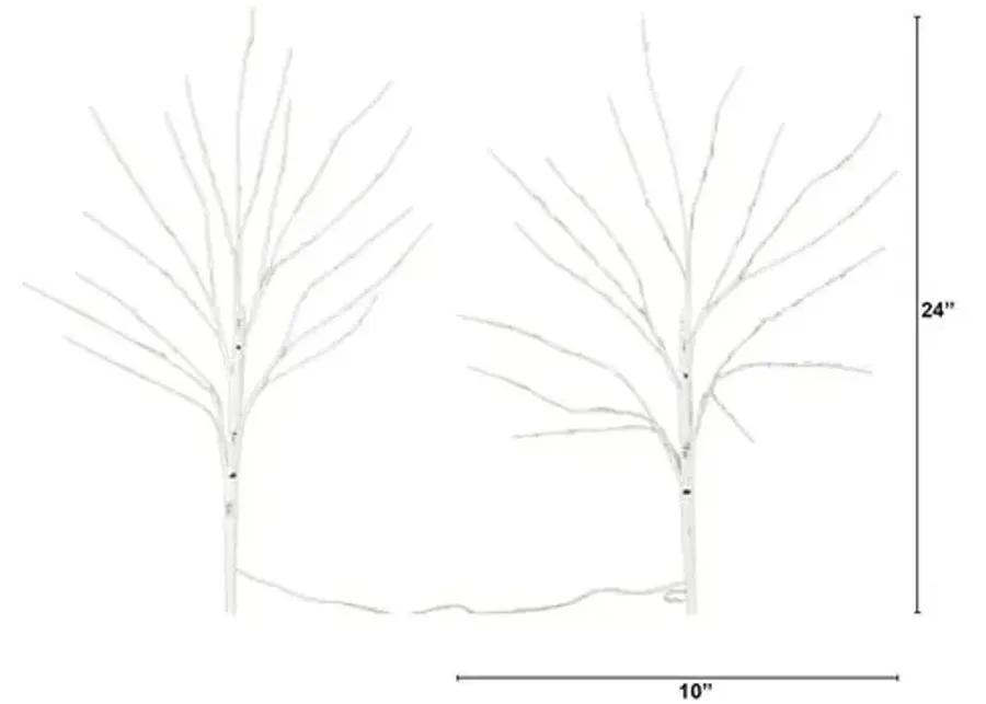 Set of 2 24in. Pre-Lit Artificial White Birch Branches