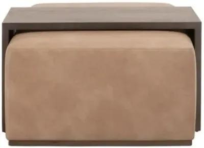 Remy 2-Pc Upholstered Coffee Table - Tan - Brown