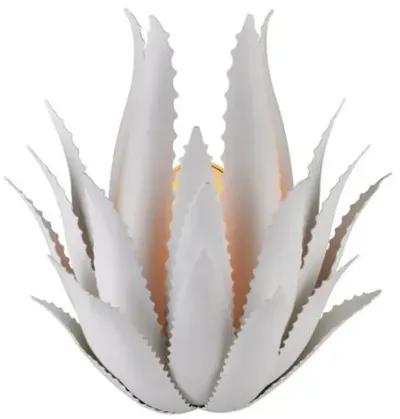 Agave Wall Sconce - Gesso White - Currey & Company