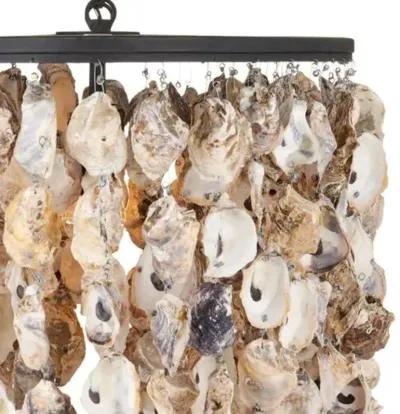 Stillwater Oyster Shell Oval Chandelier - Natural/Blacksmith - Currey & Company