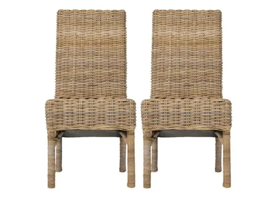 Set of 2 Murphy Side Chairs - Taupe - Brown