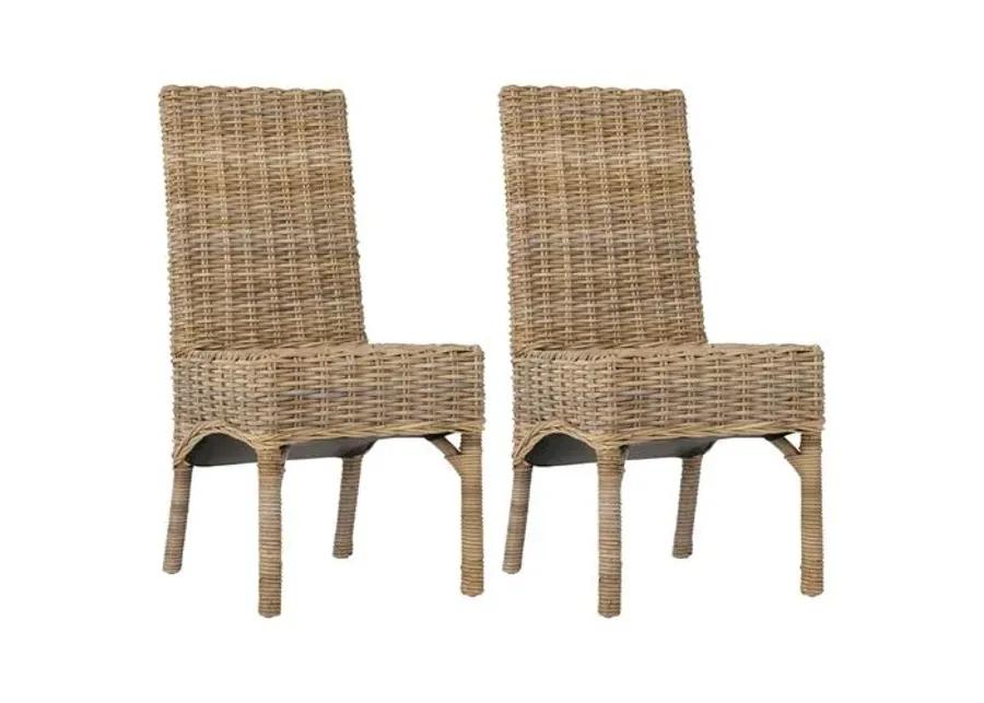 Set of 2 Murphy Side Chairs - Taupe - Brown