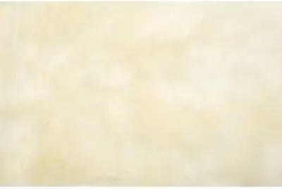 2'x3' Sheepskin Rug - Natural - Ivory - Ivory