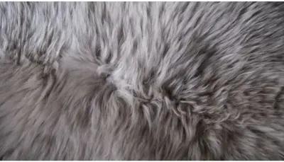 2'x3' Adrien Sheepskin Rug - Taupe - natural - Gray - Gray