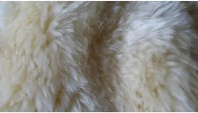 2'x3' Wellington Sheepskin Rug - Ivory - natural - Ivory