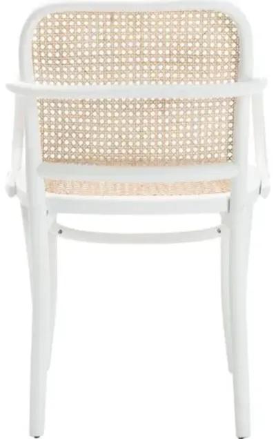 Dorinda Cane Dining Chair - White/Natural - Beige