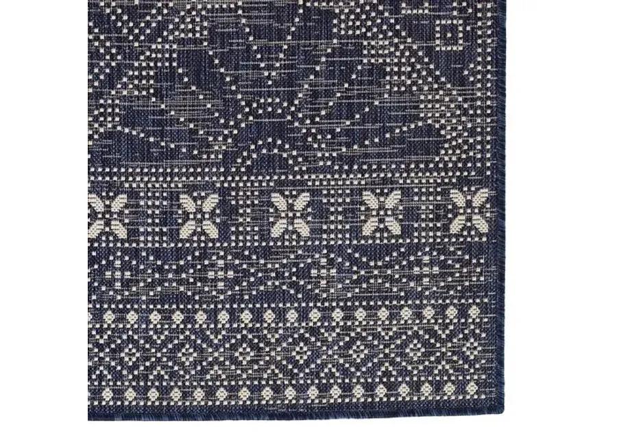 Samson Outdoor Rug - Blue - Blue