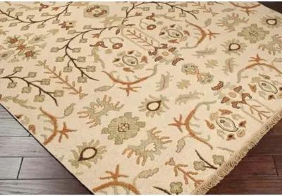 Sonoma Rug - Cream/Sage - Beige - Beige