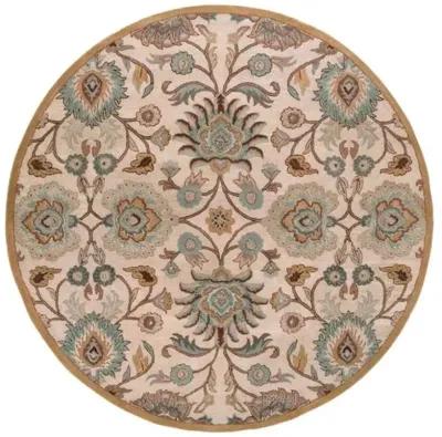 Corktree Rug - Taupe/Aqua - Gray - Gray