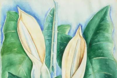 Still Life of Hawaiian Lilies,1975 - McNaught Fine Art - Ivory