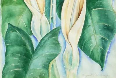 Still Life of Hawaiian Lilies,1975 - McNaught Fine Art - Ivory