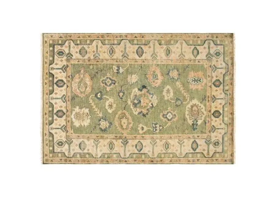 O'Connor Rug - Olive - Green - Green