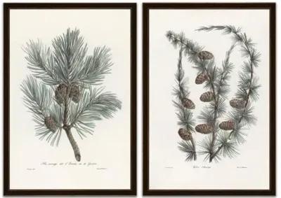 Pine Tree With Pinecones - Soicher Marin - Ivory