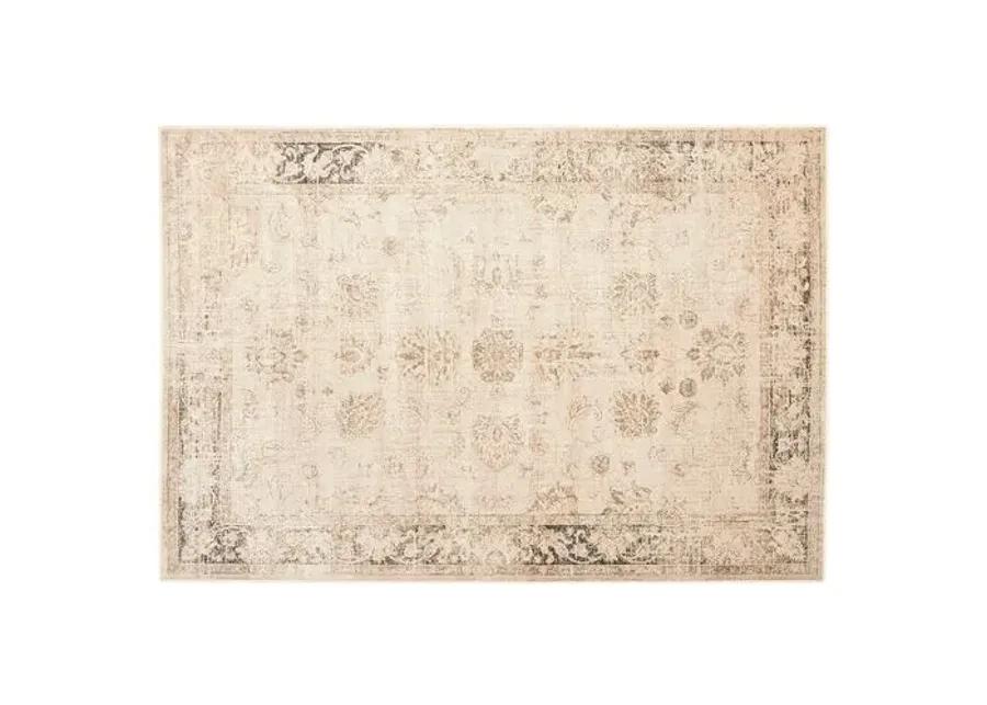 Sasha Rug - Stone - Beige - Beige