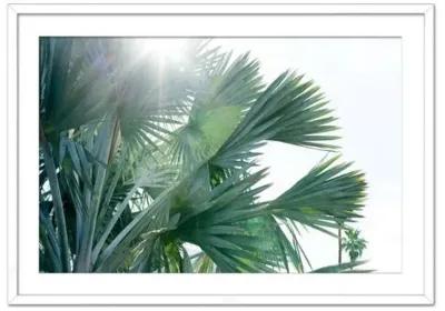 Christine Flynn - Palms - Green